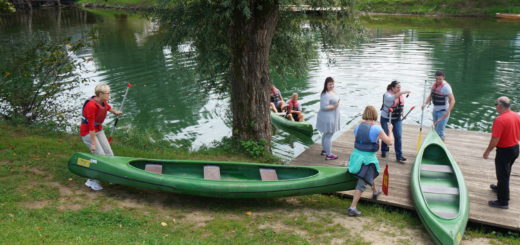 Kostanjevica na Krki